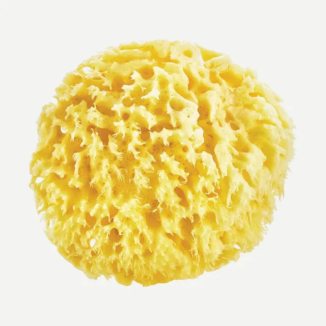 BabyJem Banyo Meeresschwamm 100% natur sensibel