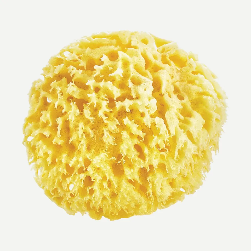BabyJem Banyo Meeresschwamm 100% natur sensibel