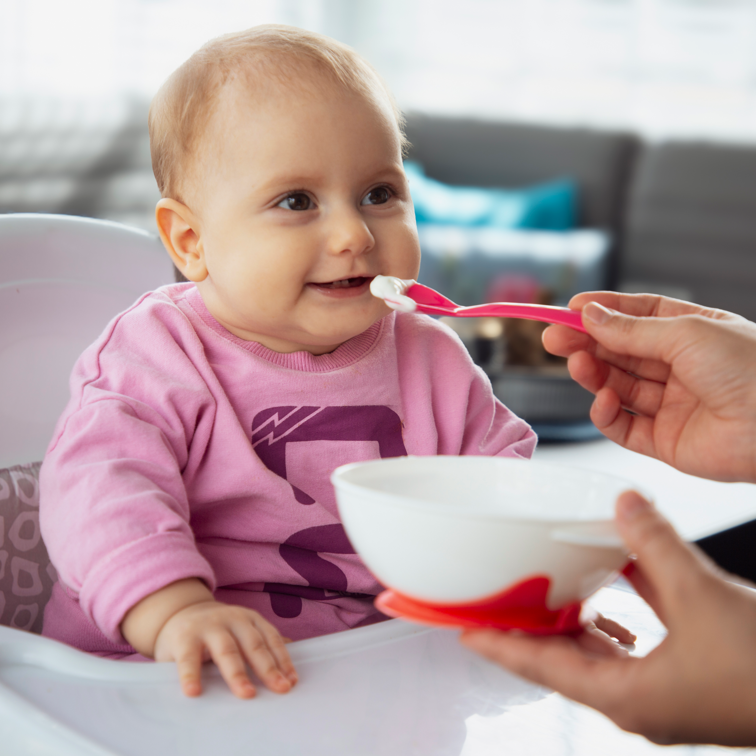 BabyJem Beslenme Saugteller mit Deckel auslaufsicher