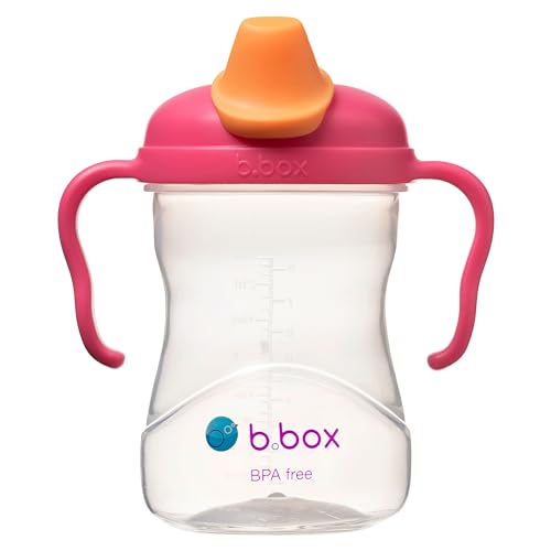 b.box Sippy Cup Schnabeltasse 240 ml auslaufsicher