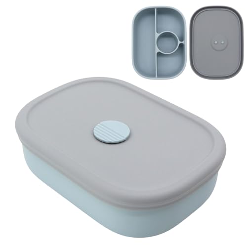 PandaEar Food Storage Bento Box Brotdose Blau 4 Fächer