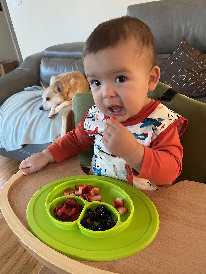 ezpz Kit 3 Practice Feeding Skills Saugteller Silikon Sage 5er