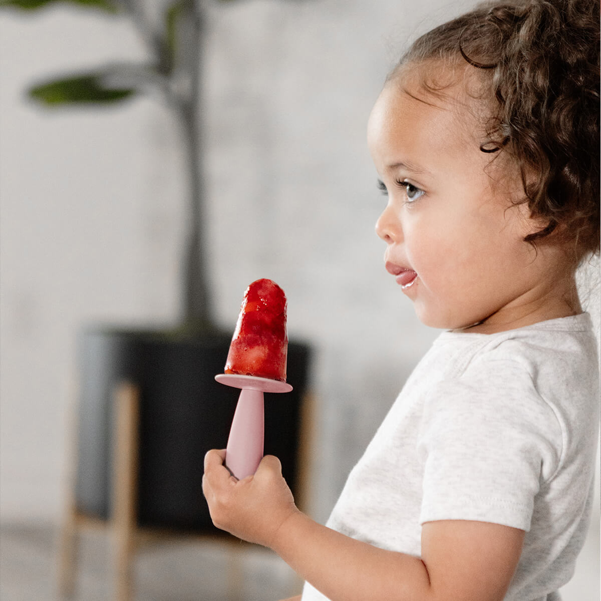 ezpz Popsicle Bundle Eisform Silikon Blush Selbstfüttern