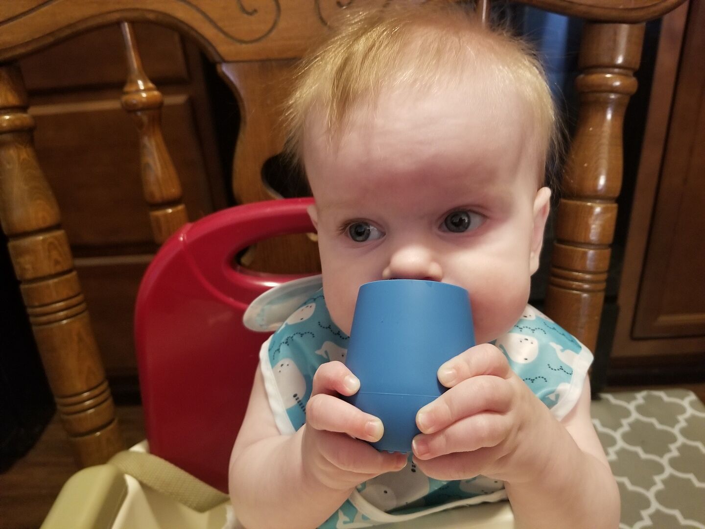 ezpz Tiny Collection Tiny Cup Babybecher Sage 5er-Pack