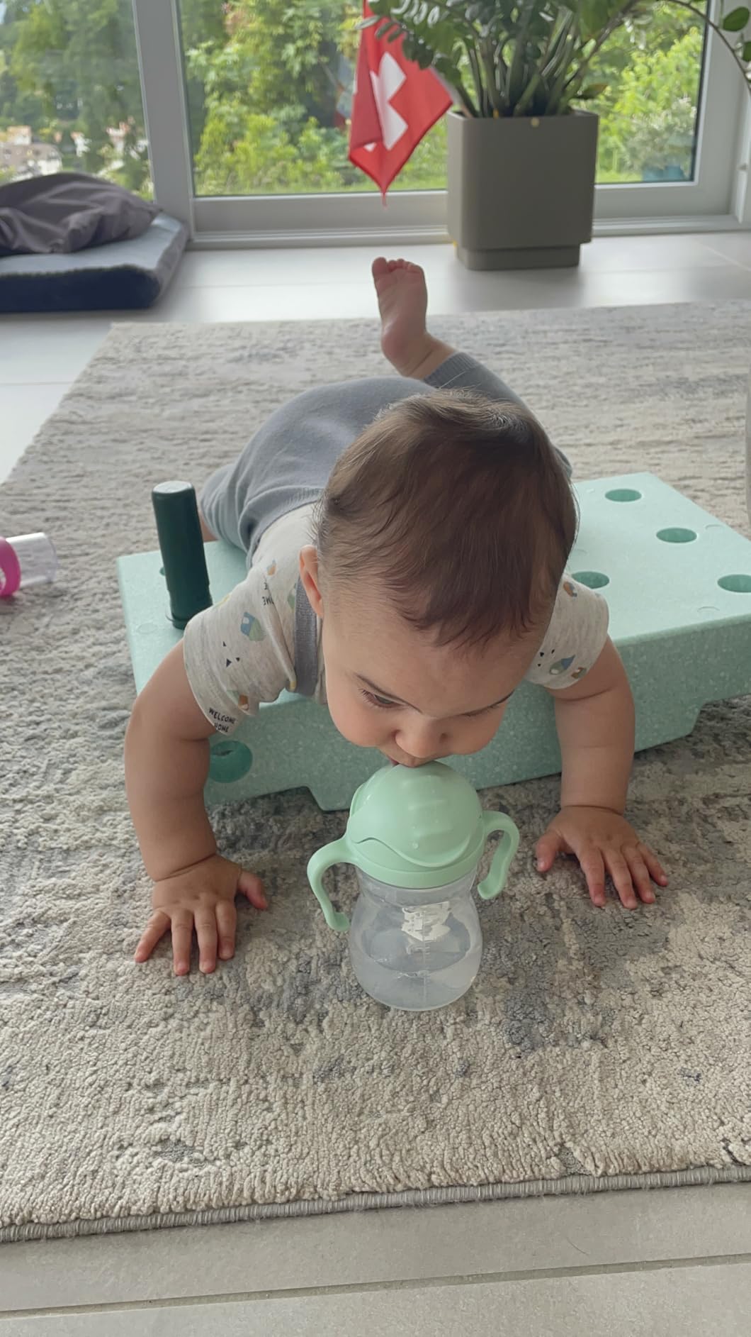 b.box Sippy cups Trinklernbecher 240 ml Bubblegum Blueberry auslaufsicher