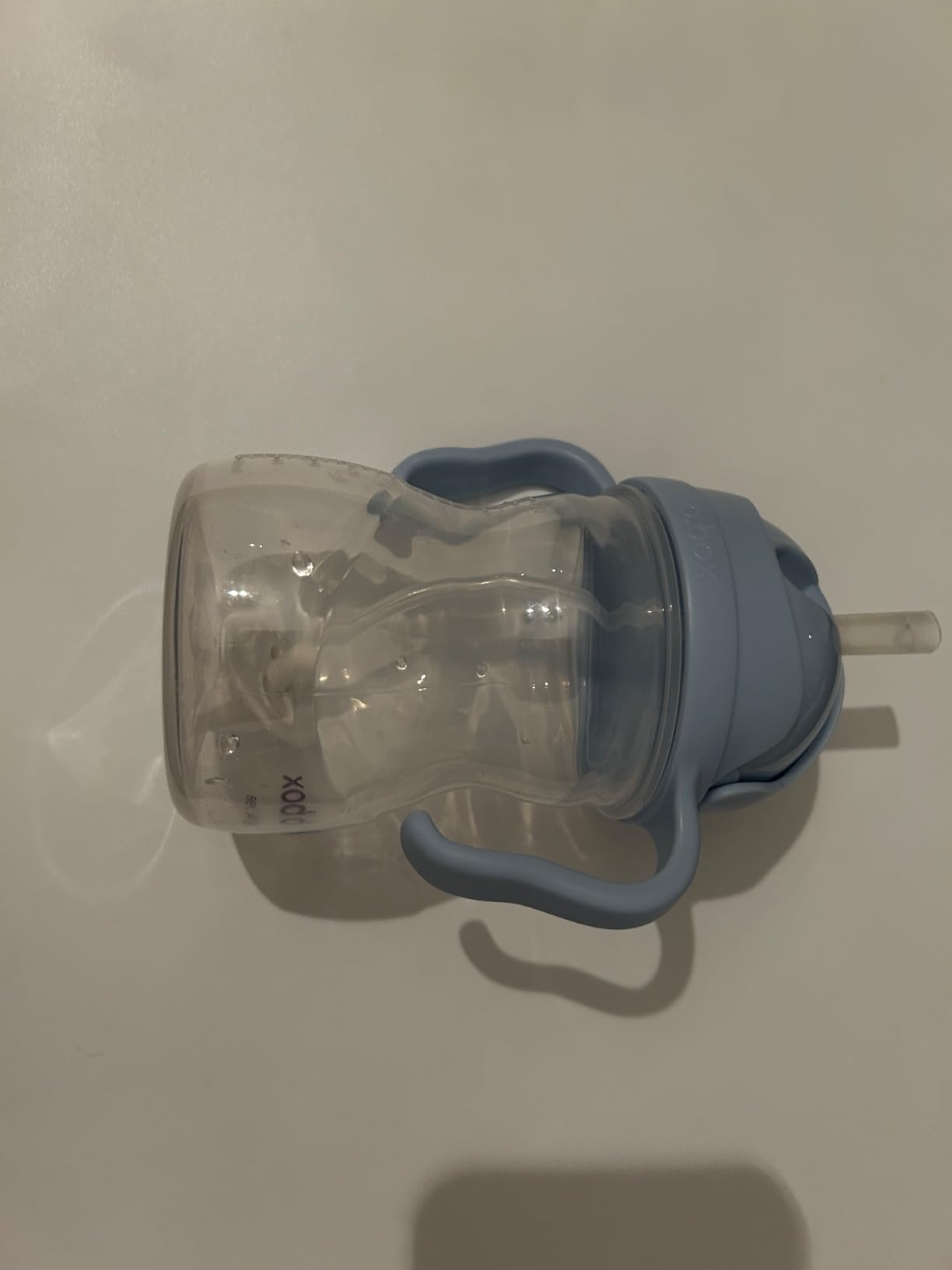 b.box Sippy cups Trinklernbecher 240 ml Bubblegum Blueberry auslaufsicher
