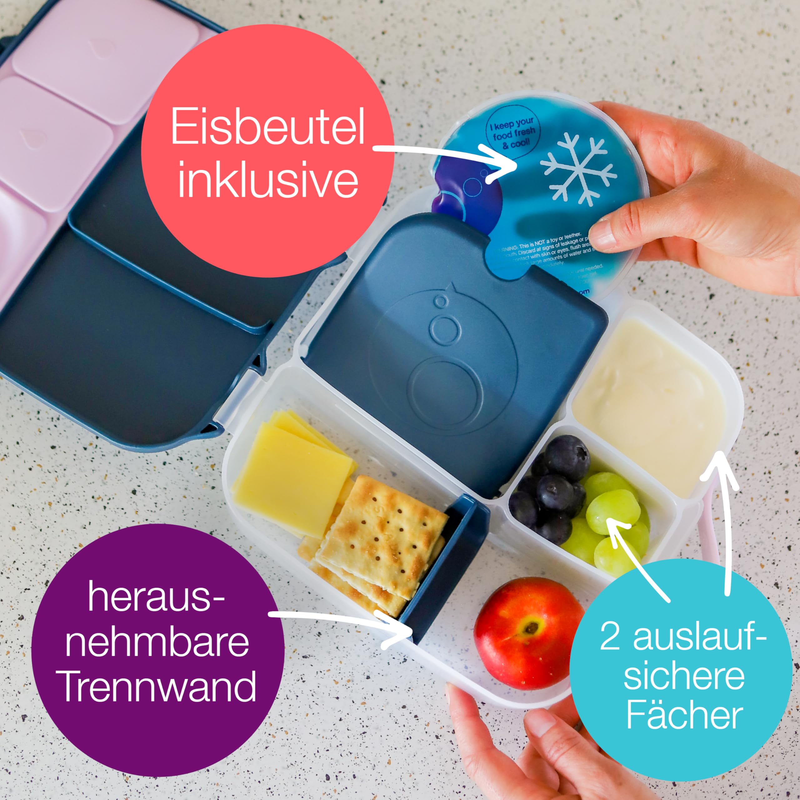 b.box Lunchbox Bento Brotdose 4 Fächer Lilac Pop 20 cm