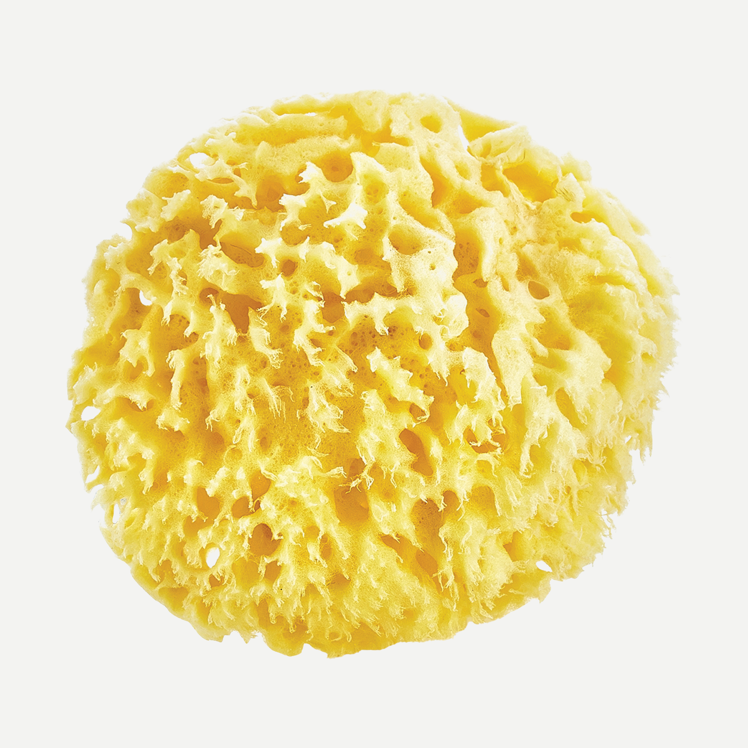 BabyJem Banyo Meeresschwamm 100% natur sensibel