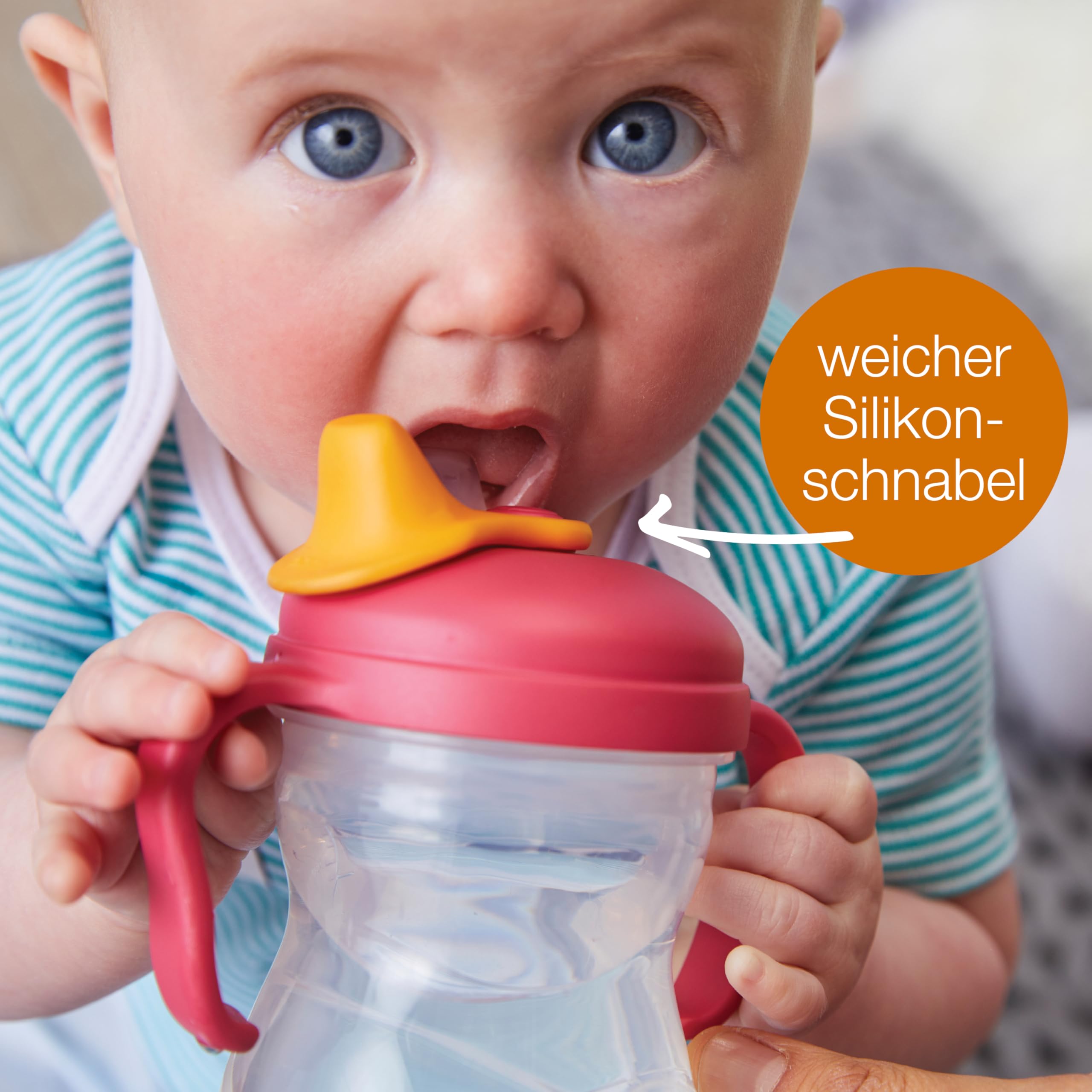b.box Sippy cups Schnabeltasse 240 ml Trinklernbecher auslaufsicher